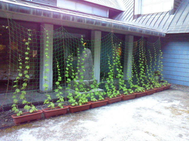 ��钬���y�����كm�[�g  Oiso Municipal Museum