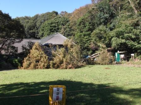 ��钬���y�����كm�[�g  Oiso Municipal Museum