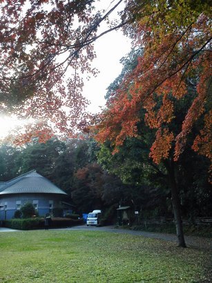 ��钬���y�����كm�[�g  Oiso Municipal Museum