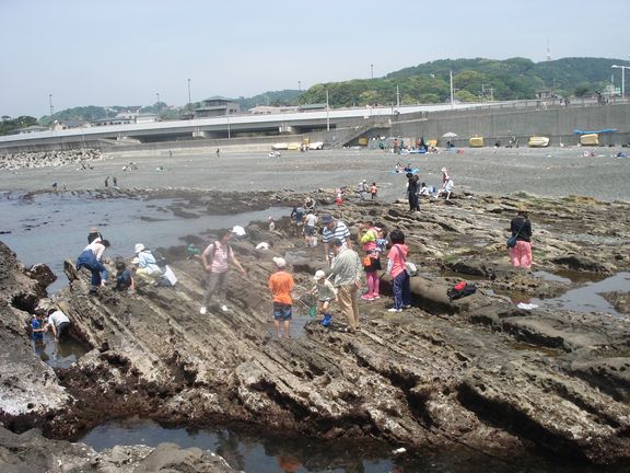 ��钬���y�����كm�[�g  Oiso Municipal Museum