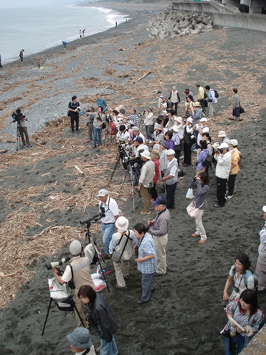��钬���y�����كm�[�g  Oiso Municipal Museum