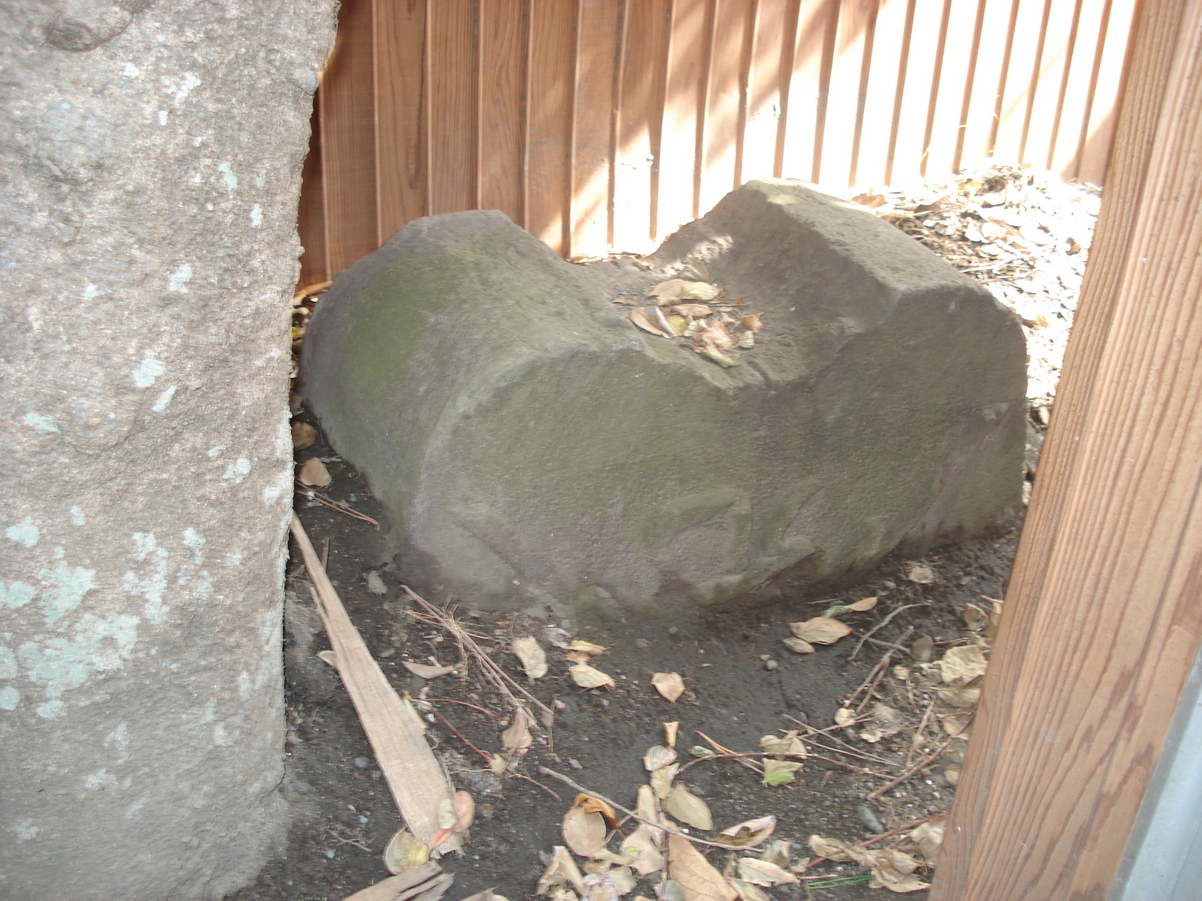 ��钬���y�����كm�[�g  Oiso Municipal Museum