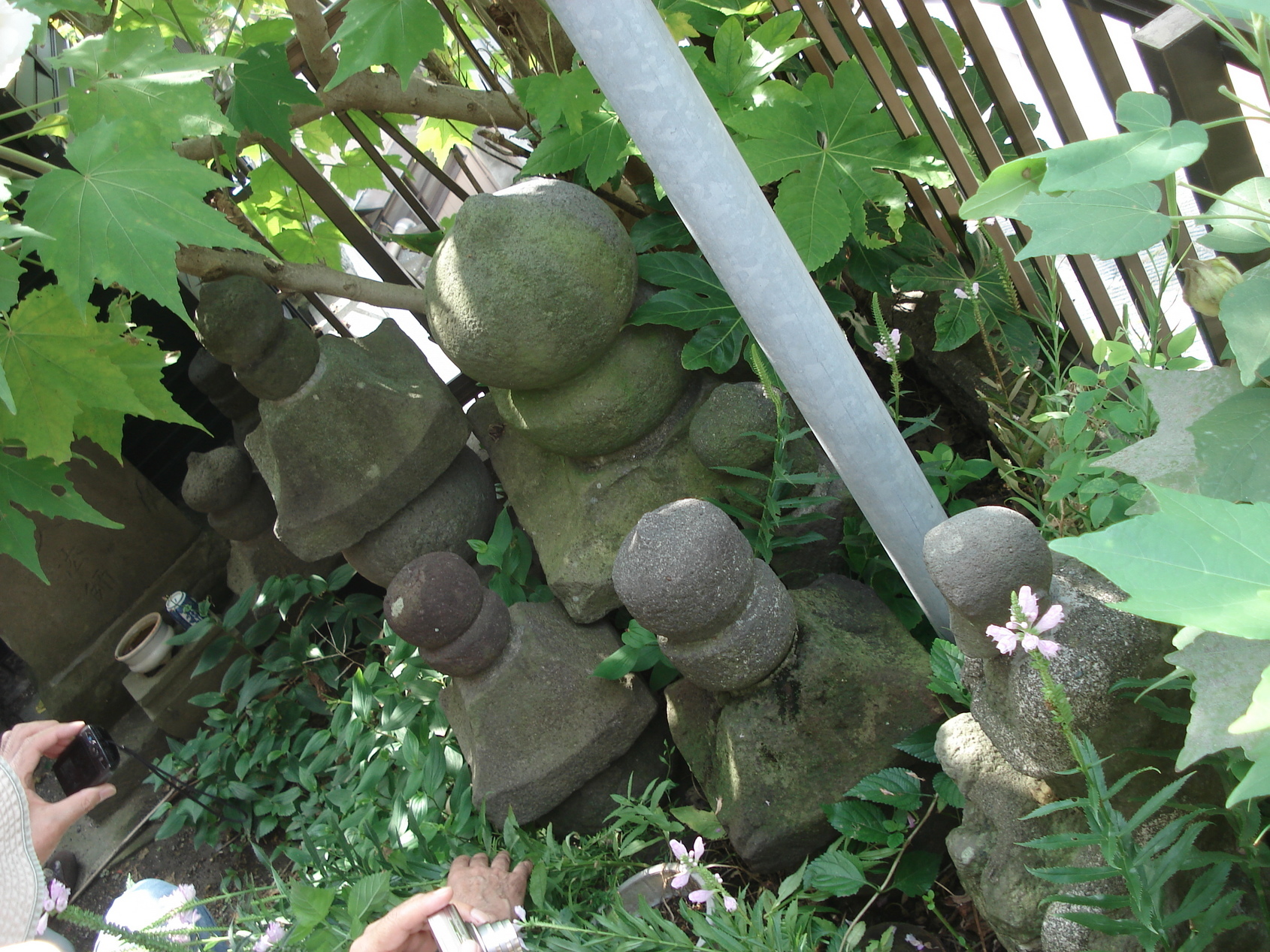 ��钬���y�����كm�[�g  Oiso Municipal Museum