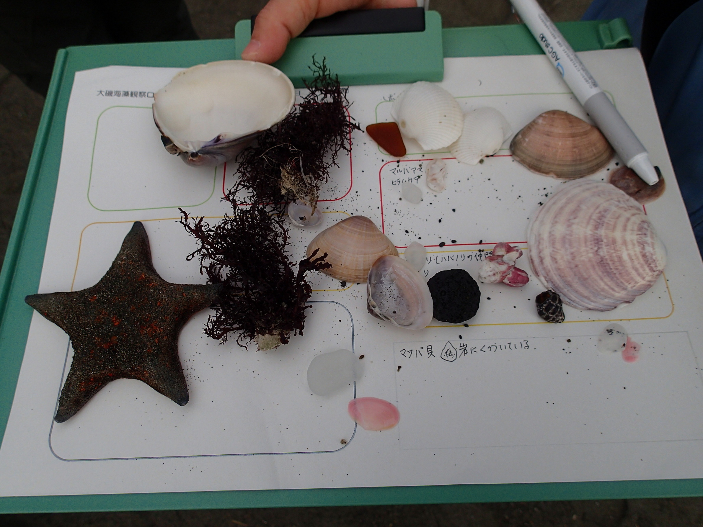 ��钬���y�����كm�[�g  Oiso Municipal Museum