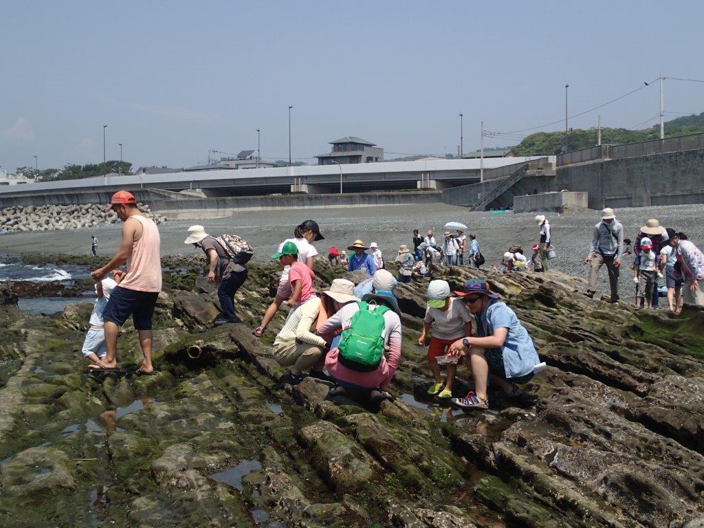 ��钬���y�����كm�[�g  Oiso Municipal Museum