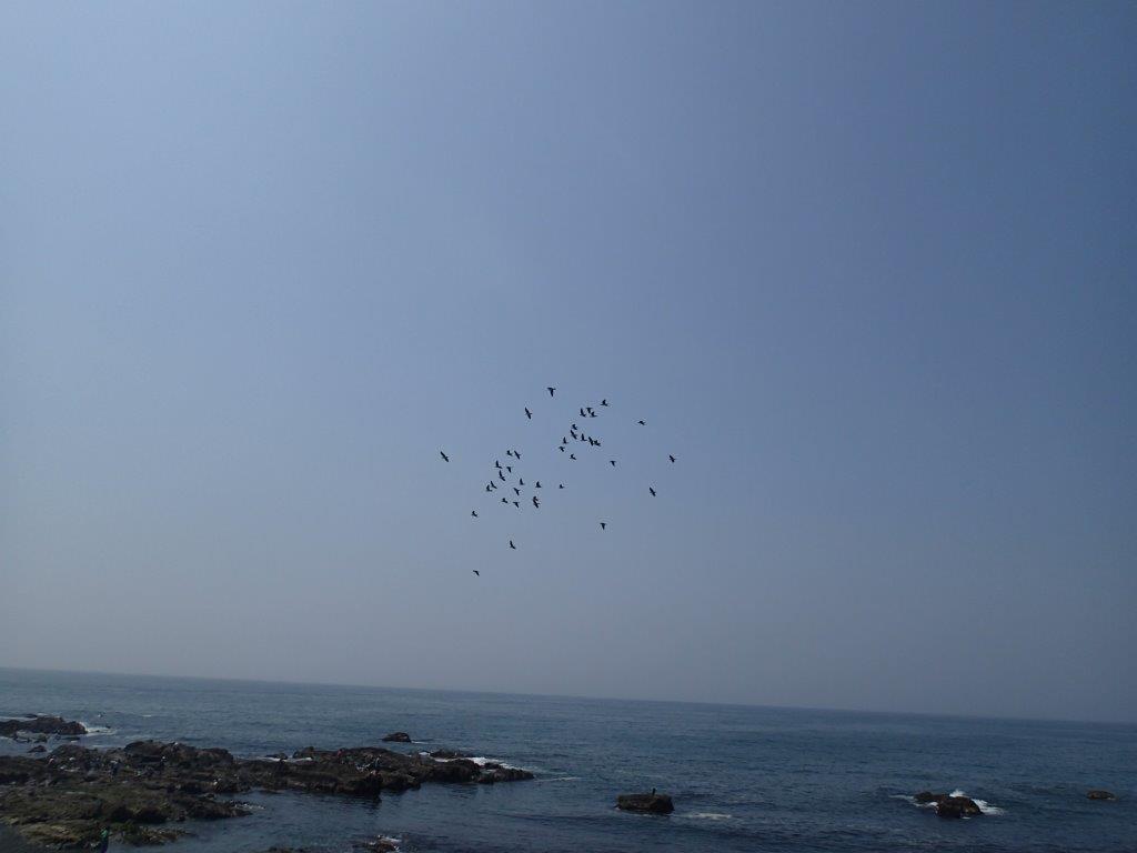 ��钬���y�����كm�[�g  Oiso Municipal Museum