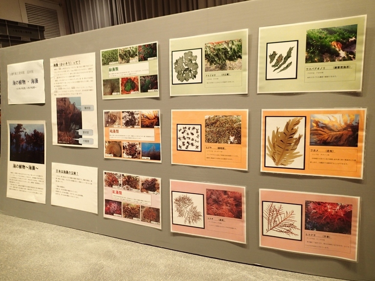 ��钬���y�����كm�[�g  Oiso Municipal Museum