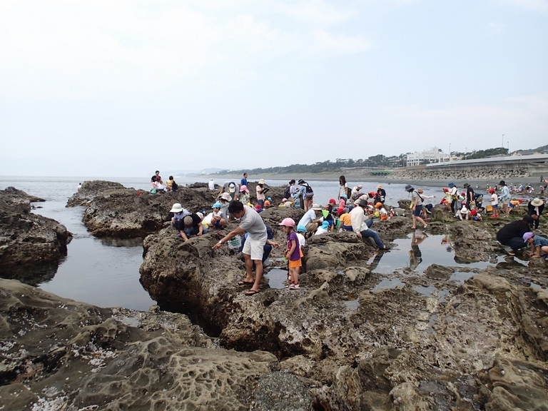 ��钬���y�����كm�[�g  Oiso Municipal Museum