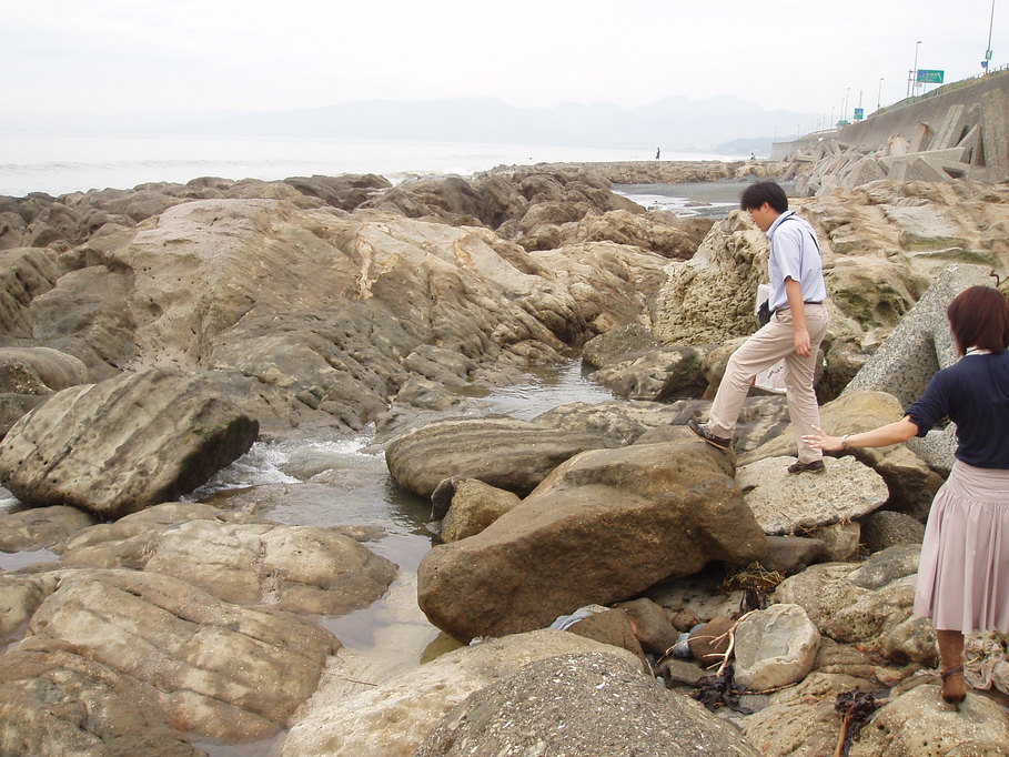 ��钬���y�����كm�[�g  Oiso Municipal Museum