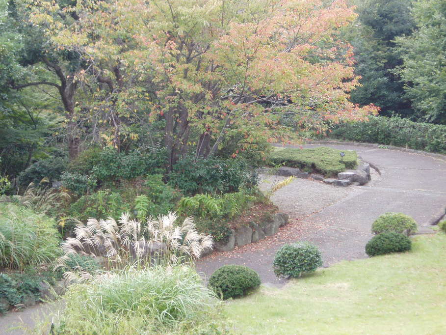 ��钬���y�����كm�[�g  Oiso Municipal Museum