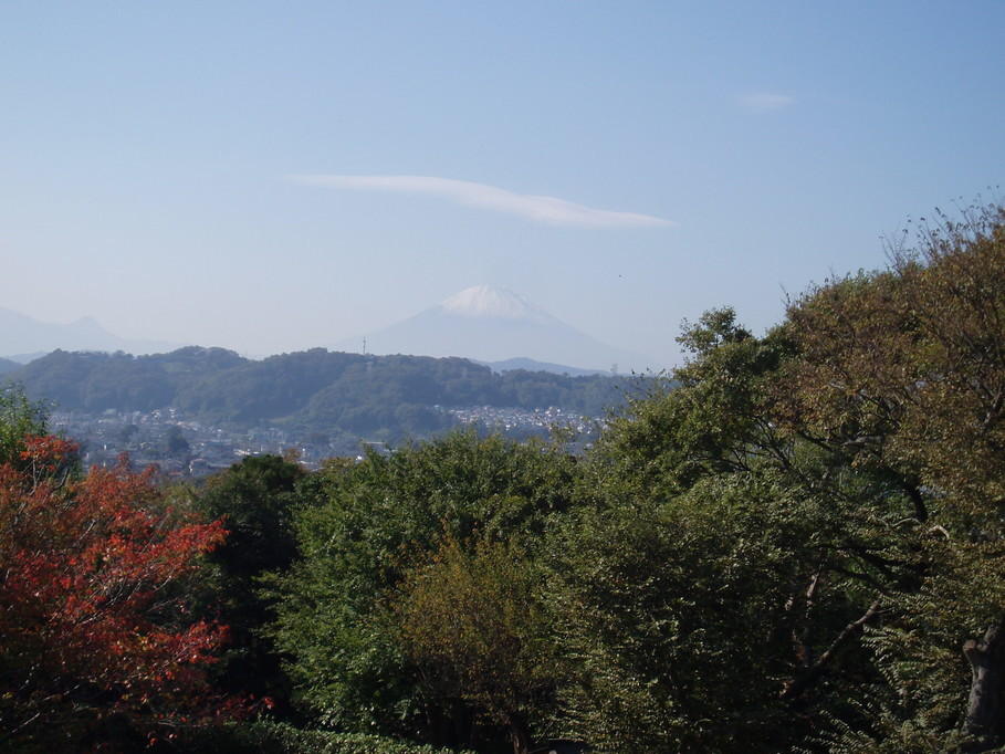 ��钬���y�����كm�[�g  Oiso Municipal Museum