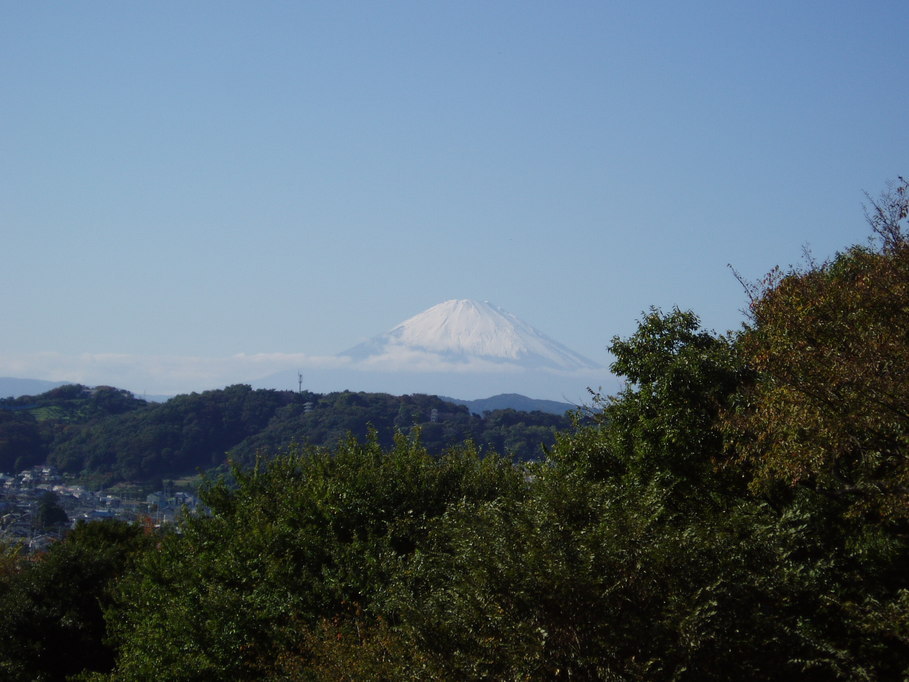 ��钬���y�����كm�[�g  Oiso Municipal Museum