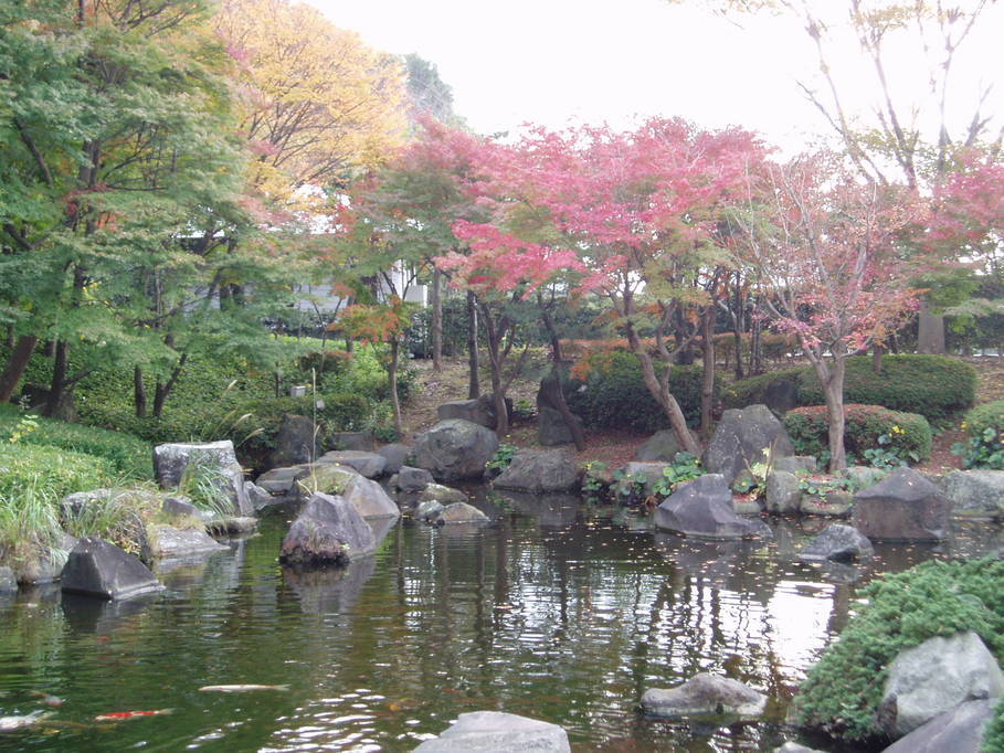 ��钬���y�����كm�[�g  Oiso Municipal Museum