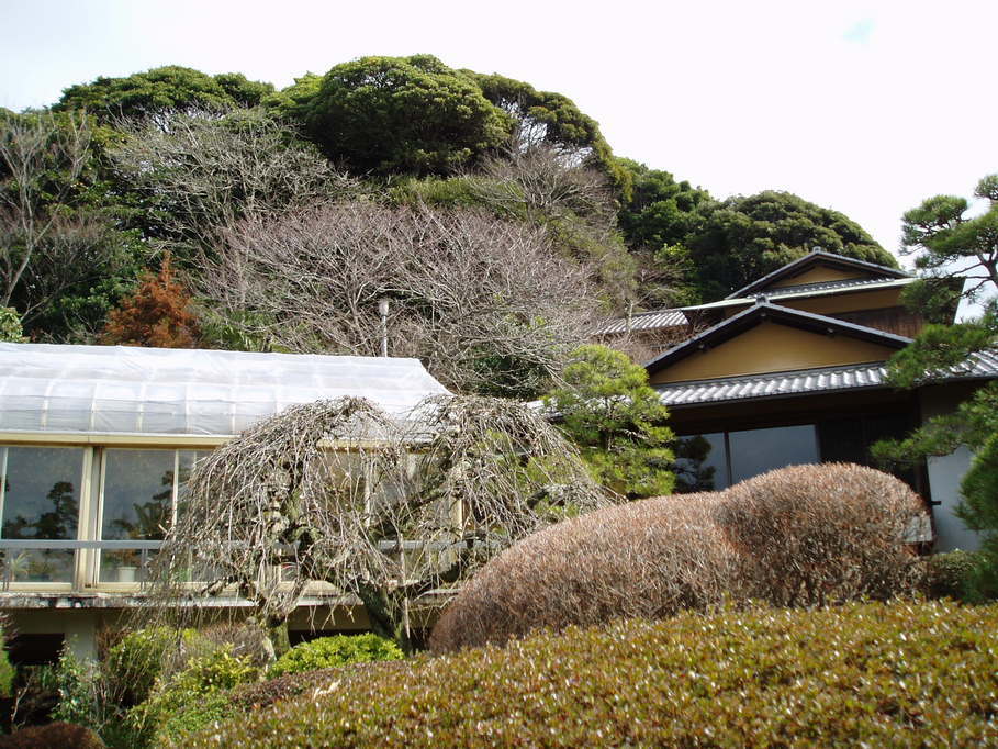 ��钬���y�����كm�[�g  Oiso Municipal Museum