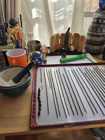 ���t���b�V���v���U���˃��[�N�V���b�v�ĊJ�i�����������j