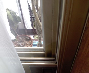 �Ă��Ă��c�݂��������a