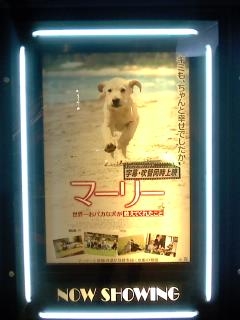 �Ă��Ă��c�݂��������a