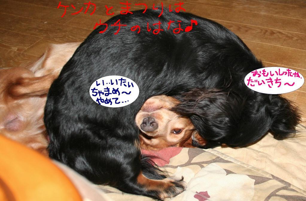 ��g�ƒ����ɂ���