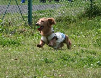 ��g�ƒ����ɂ���