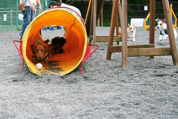 ��g�ƒ����ɂ���