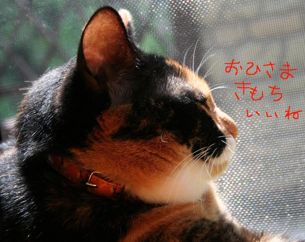 ��g�ƒ����ɂ���