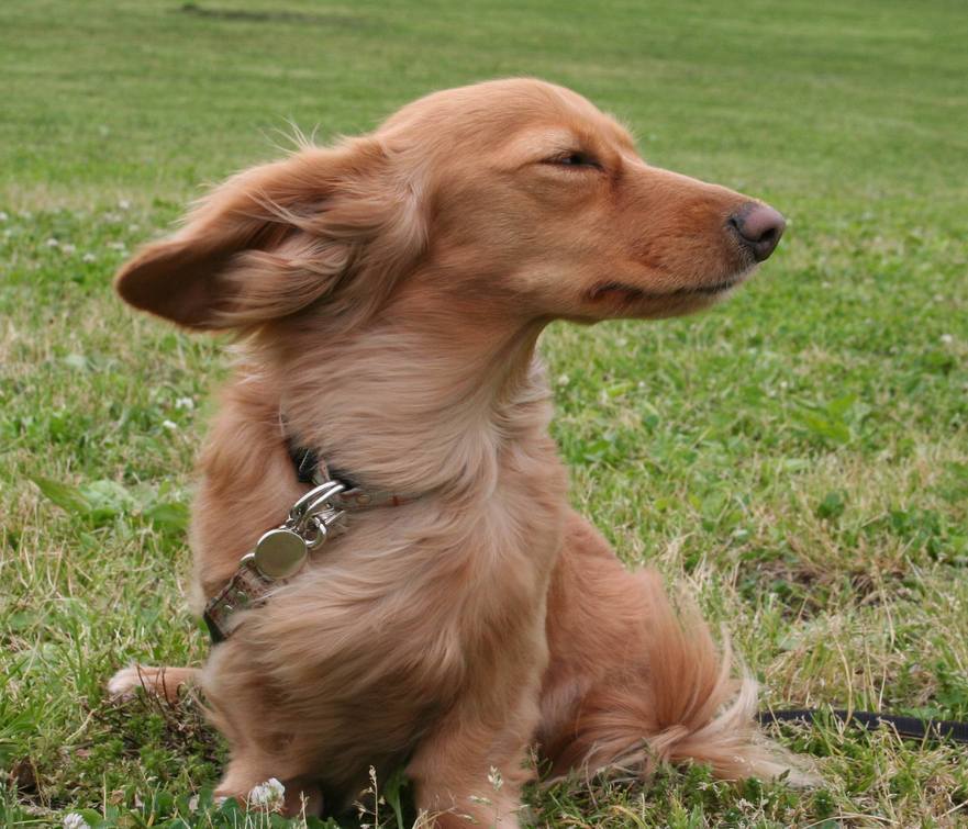 ��g�ƒ����ɂ���