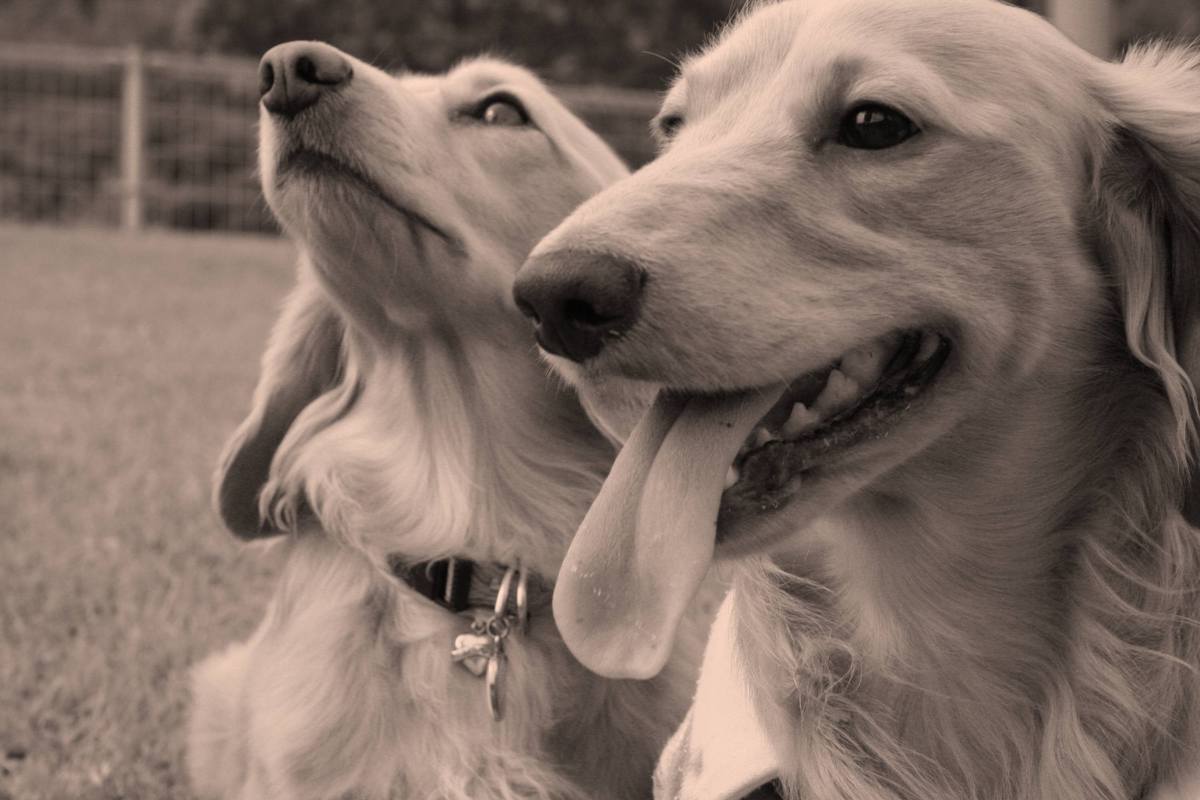 ��g�ƒ����ɂ���