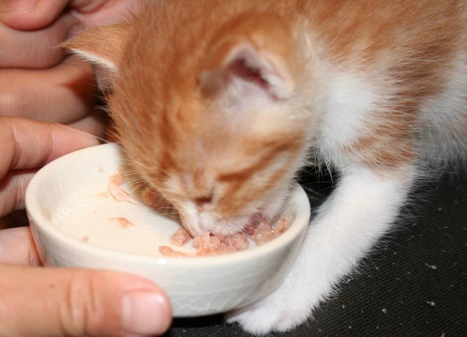 ��g�ƒ����ɂ���