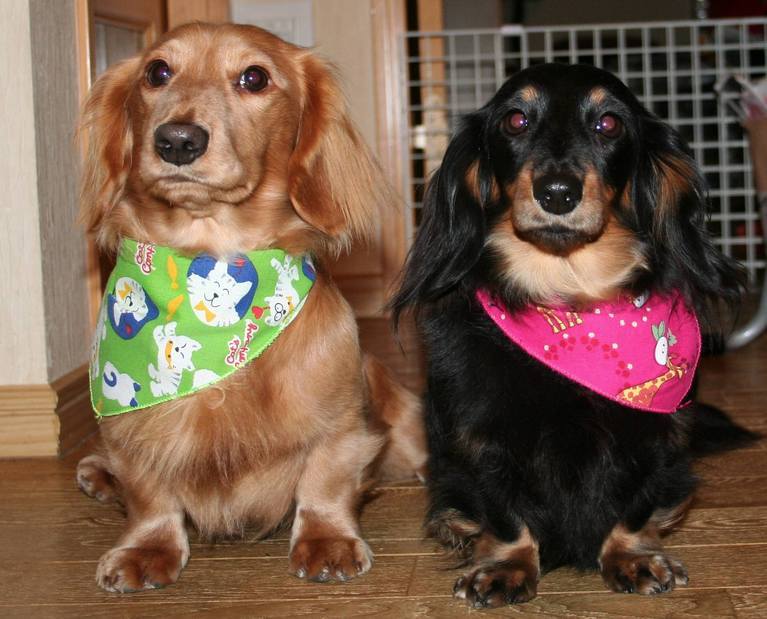 ��g�ƒ����ɂ���