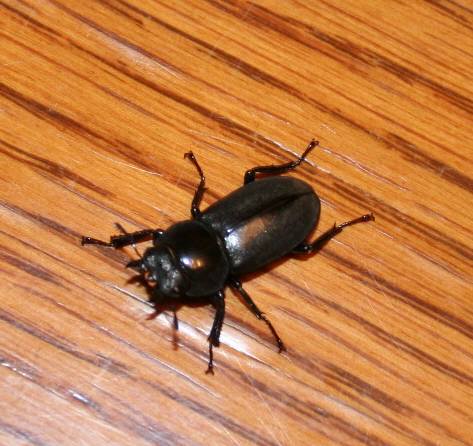 ��g�ƒ����ɂ���