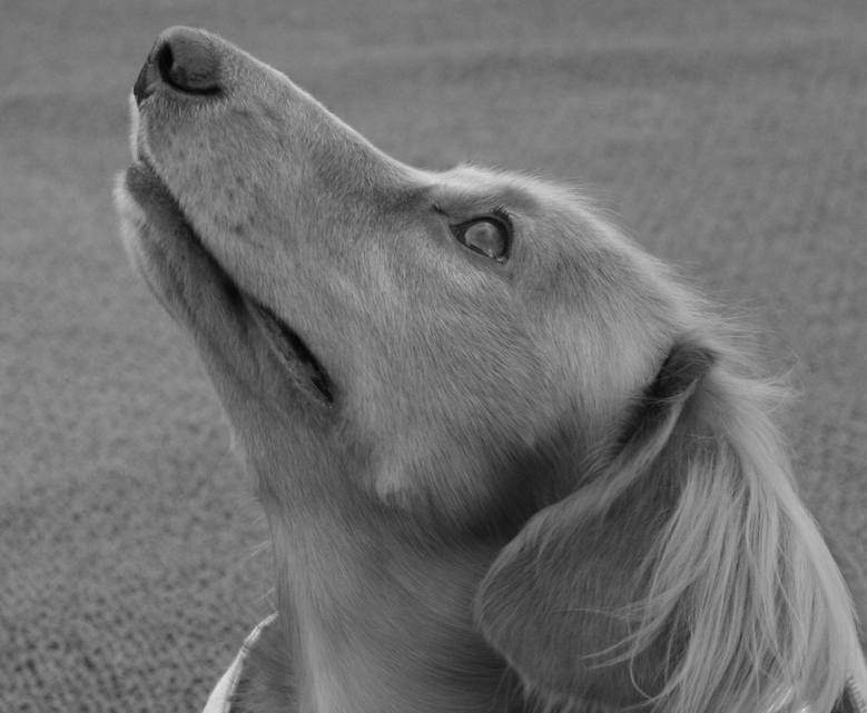 ��g�ƒ����ɂ���