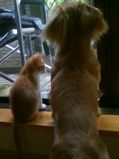 ��g�ƒ����ɂ���