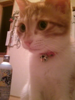 ��g�ƒ����ɂ���