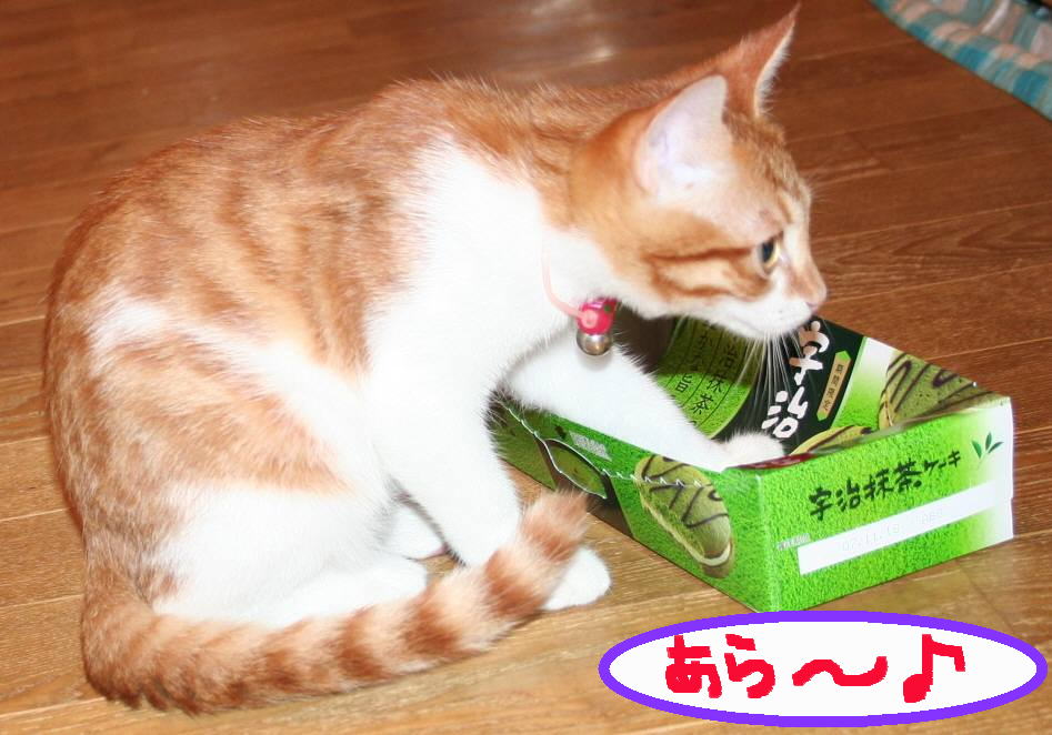 ��g�ƒ����ɂ���