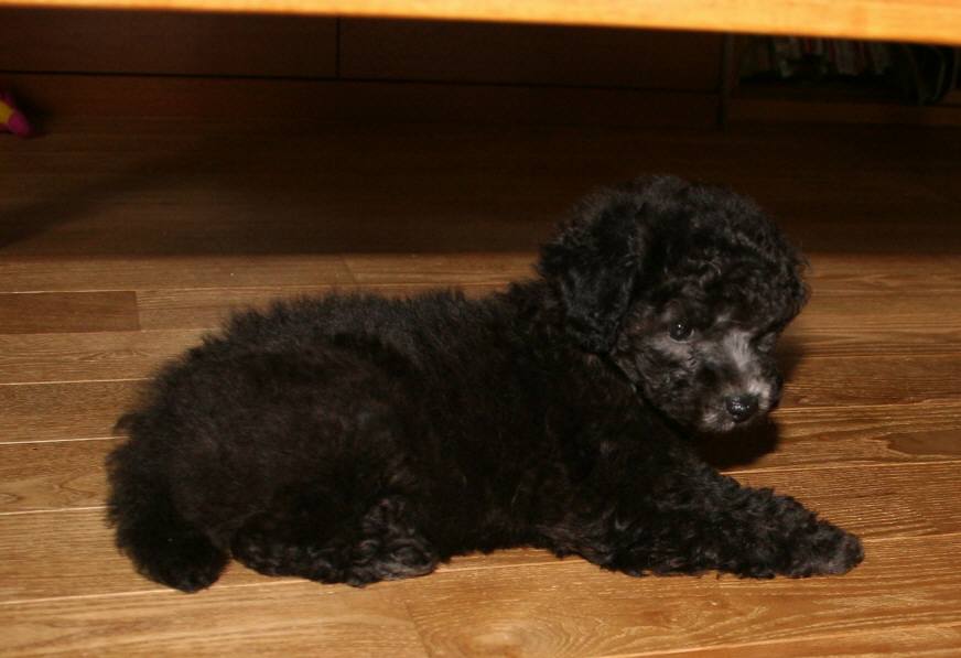 ��g�ƒ����ɂ���