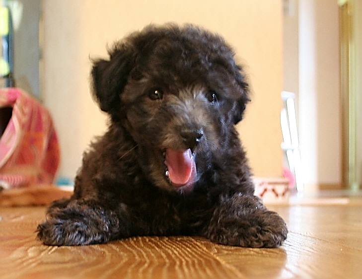 ��g�ƒ����ɂ���