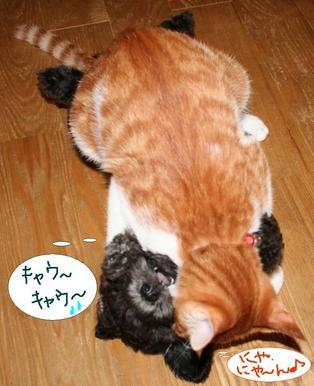 ��g�ƒ����ɂ���