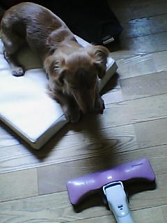 ��g�ƒ����ɂ���