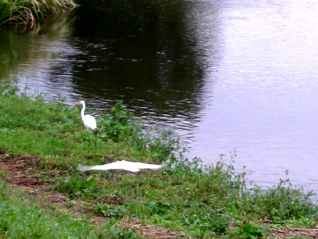 �悤�����I�uOPQ-Web�U���W�v�ցI