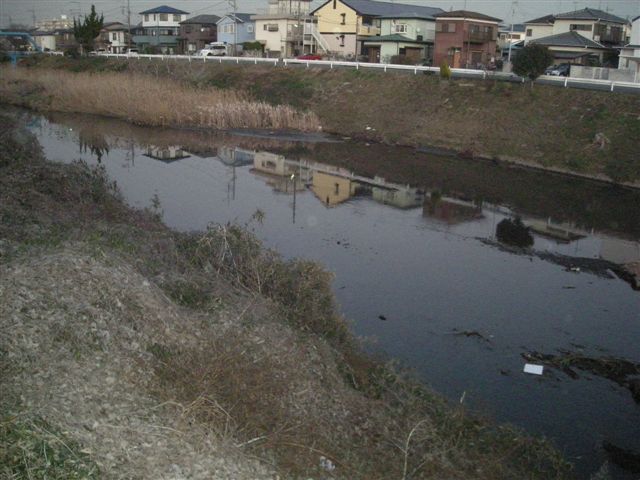 �悤�����I�uOPQ-Web�U���W�v�ցI