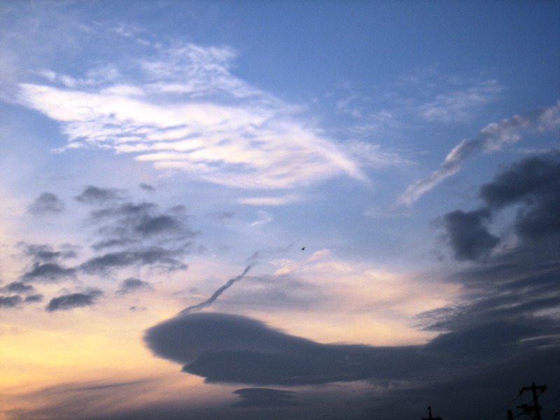 �悤�����I�uOPQ-Web�U���W�v�ցI