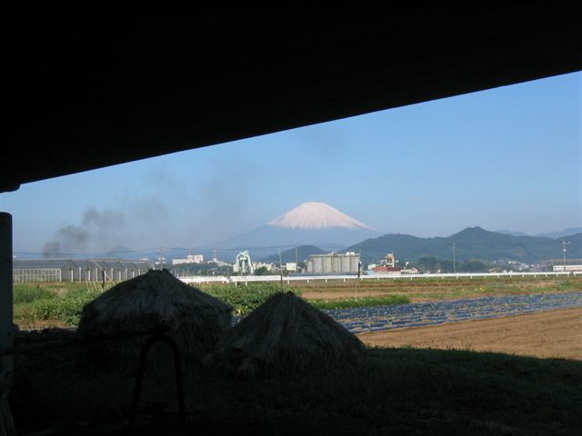 �悤�����I�uOPQ-Web�U���W�v�ցI