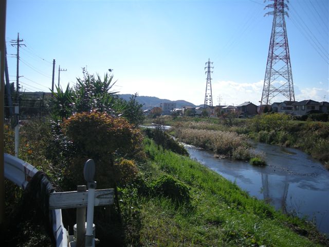 �悤�����I�uOPQ-Web�U���W�v�ցI