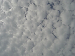 �A���Ă����I�@�҂�҂恗�Ó���̂���邬���a