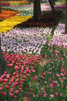 ♡�@�|�`�������ώ@�@♡