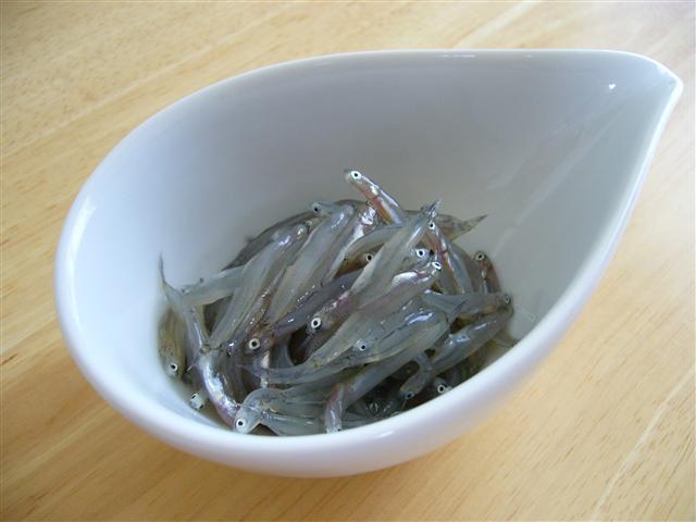 ♡�@�|�`�������ώ@�@♡