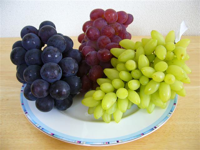 ♡�@�|�`�������ώ@�@♡