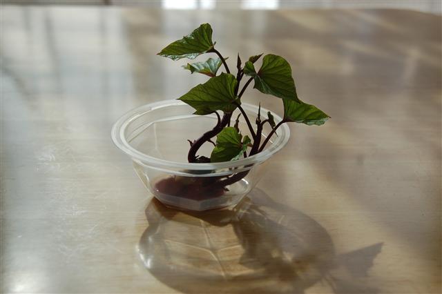 ♡�@�|�`�������ώ@�@♡