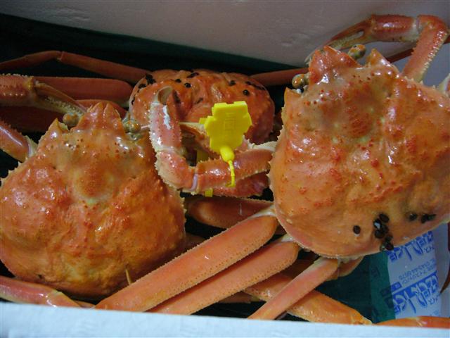 ♡�@�|�`�������ώ@�@♡