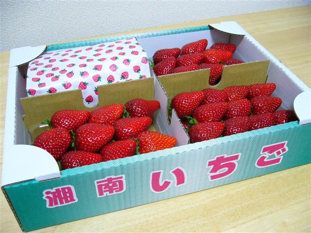 ♡�@�|�`�������ώ@�@♡